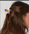 Pince à cheveux rêve Hawaïen